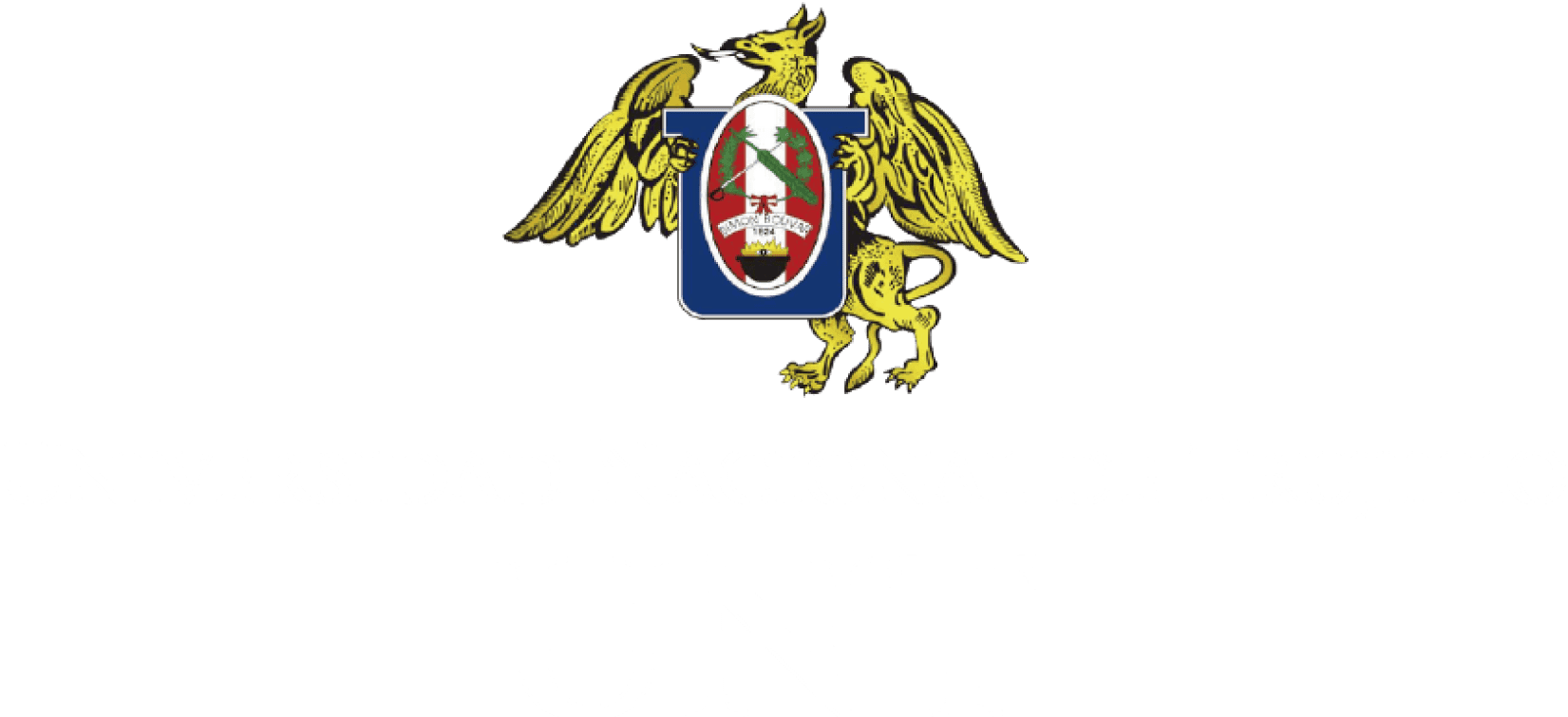 unt-logo-default-white